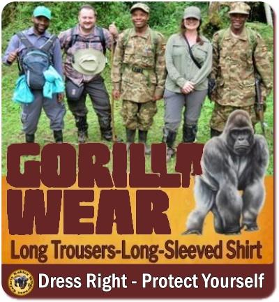 What should I wear for Gorilla Trekking? Here is your Packing list