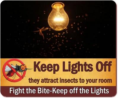 Fight the Bite on Safari-Prevent Insect Bites on Safari in Uganda