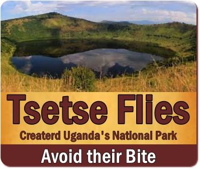 Tsetse Fly was the Creator of the Savannah Wildlife Parks