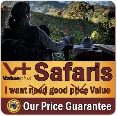 Our Safari Price Guarantee - Kabiza Wilderness Safaris