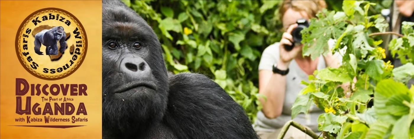 Uganda gives you more Gorilla Trekking Choices and Options