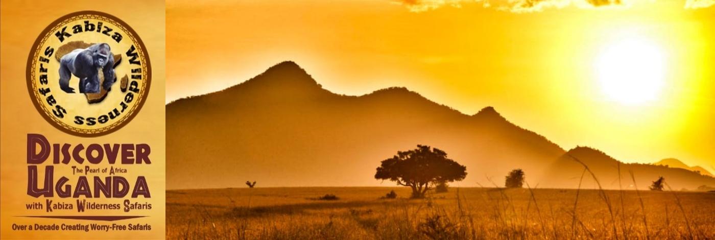 The Best 10 National Parks in Uganda the Pearl of Africa