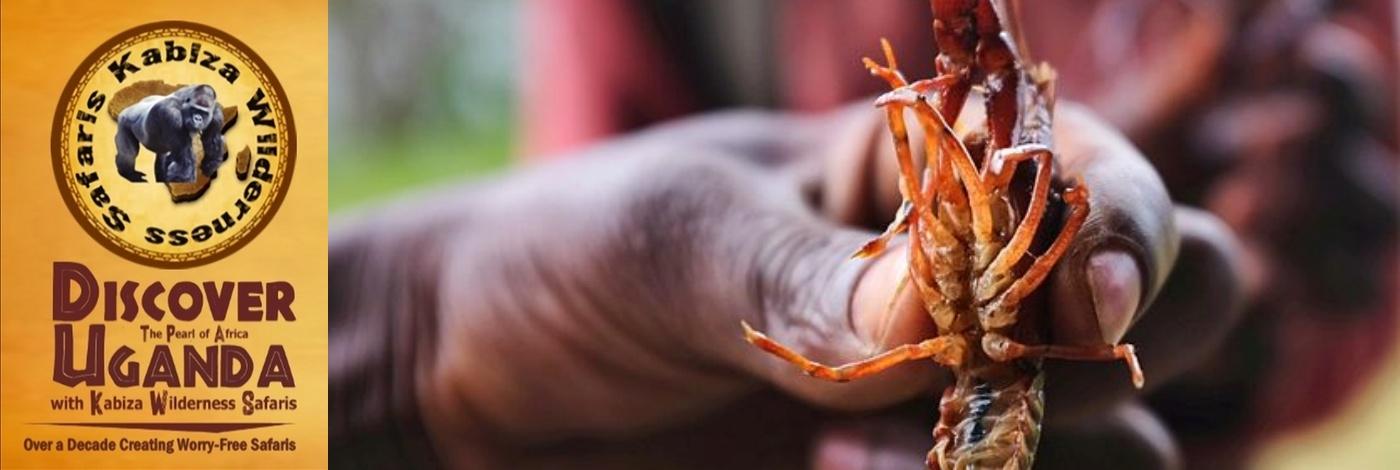 Lake Bunyonyi Crayfish - A Culinary Delight