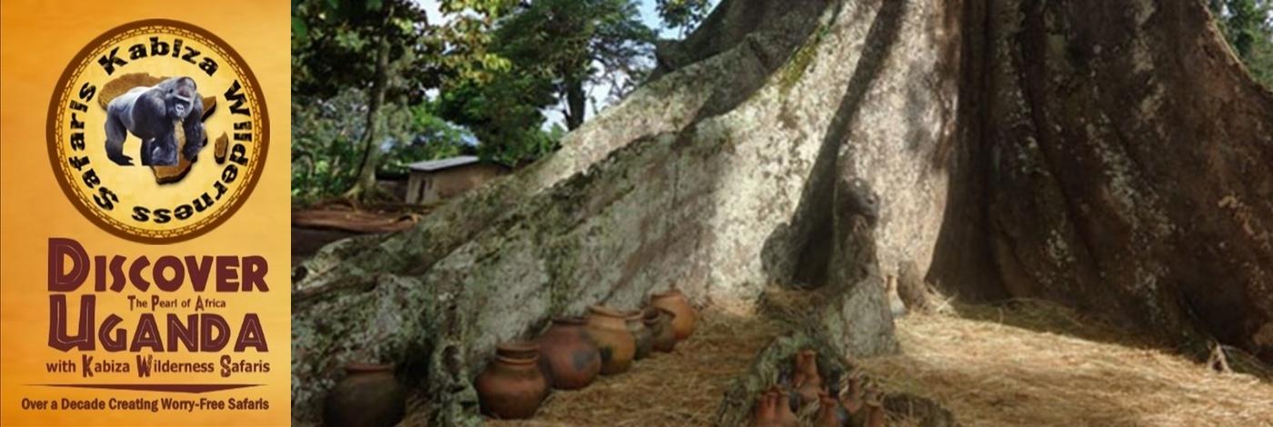 The Nakayima Tree in Mubende-a Cultural Heritage Site