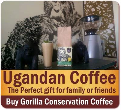 Great Tasting Arabica Coffee grown in Uganda