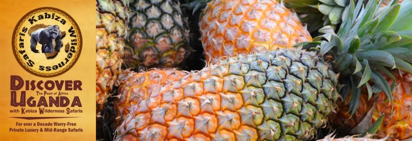 Ugandan Pineapples are simply the Best in the World