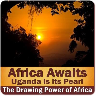 First Time Traveler to Africa? Which Country to Visit in Africa?