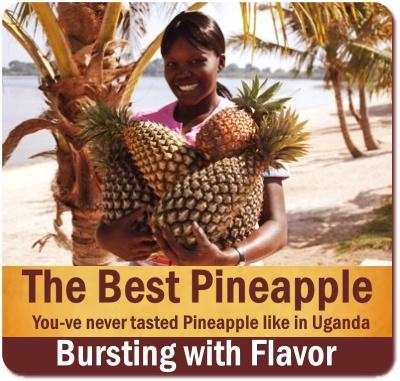 Ugandan Pineapples are simply the Best in the World