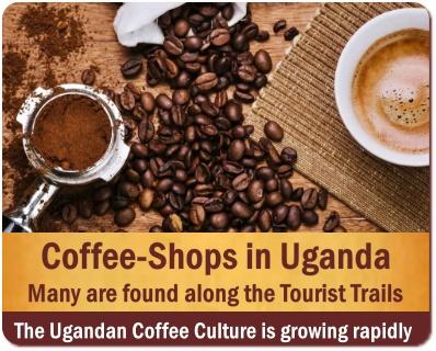 Coffee was Born and Grown in Africa - a Taste of Africa