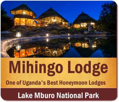 Top Lodging Choices in Lake Mburo Park