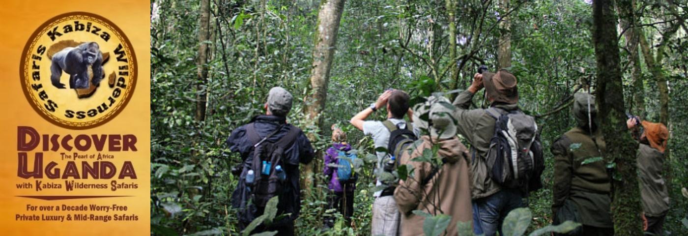 Practical Chimpanzee Trekking Information - Tips and Advice