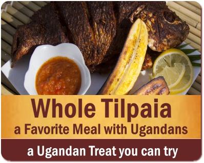 What will I eat on a Safari in Uganda? Safari Food