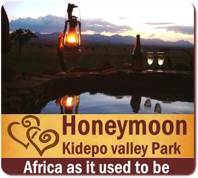 Best Luxury Honeymoon Safaris in Uganda