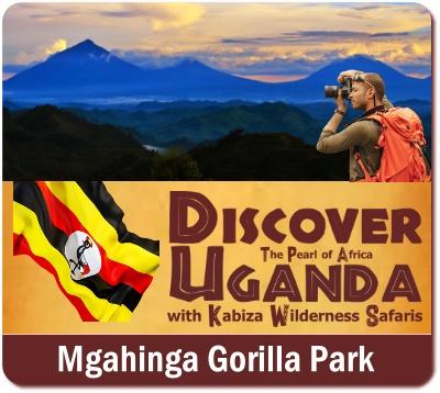 Things to do and see in Mgahinga Gorilla Park in Uganda