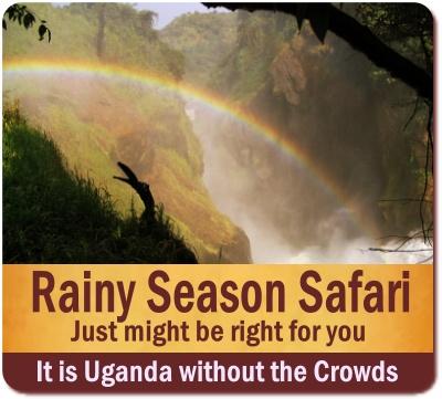 On Safari during the Rainy Season in Uganda