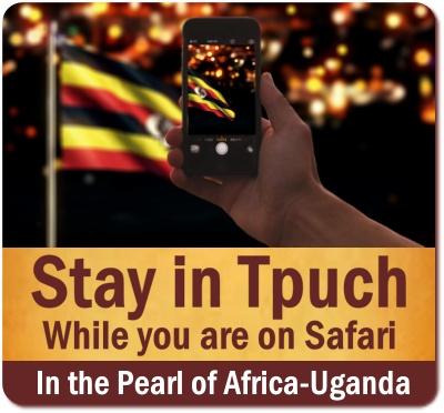 Staying in Touch with Home while on Safari in Uganda