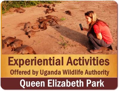 Experiential Safari Activities in Queen Elizabeth Park