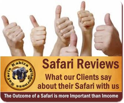 Kabiza Wilderness Safaris Reviews-What our Customers said about their Safari