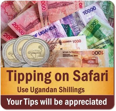 How much Money should I bring for my Safari in Uganda?