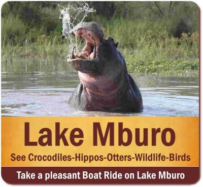 Best Lake Mburo National Park Wildlife Safaris