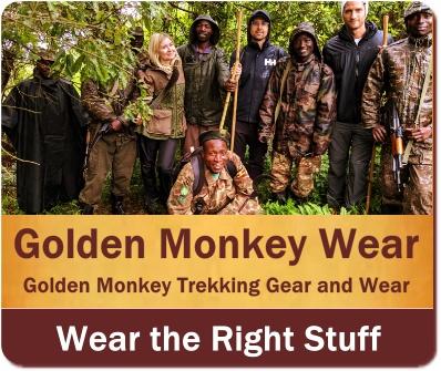 Golden Monkey Habituation Experience - Mgahinga Gorilla National Park