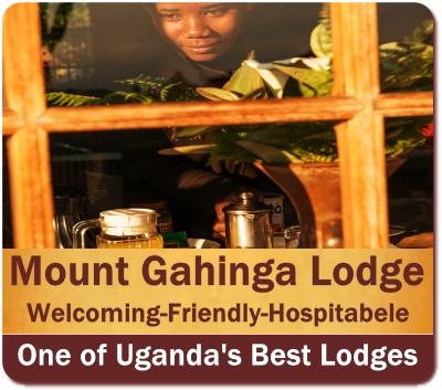 Exclusive Luxury Mount Gahinga Lodge located in Mgahinga Gorilla Park