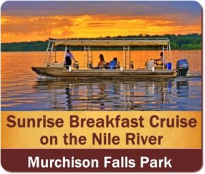 6-Days-Spend a While on the Nile Luxury Safari in Uganda