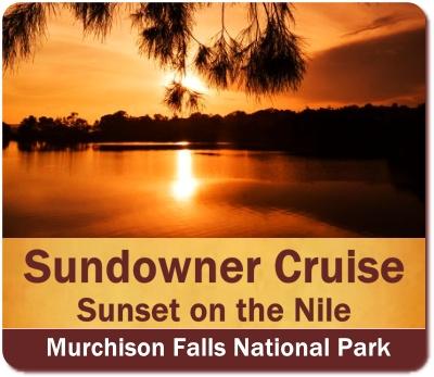 Boat Cruises on the Nile in Murchison Falls Park