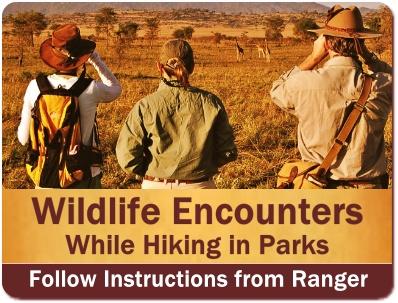 Practical Hiking - Climbing Safari Advice and Tips for Uganda