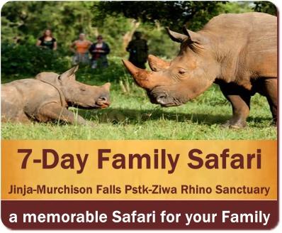 Best Children-Friendly Family Wildlife Safaris in Uganda