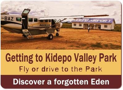 Top Things to Do and See in Kidepo Valley Park - Northeast Uganda