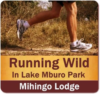 Mihingo Lodge  - A Cut above the Rest - Lake Mburo Park