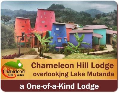 Chameleon Hill Lodge - there is no other Lodge like it in Uganda