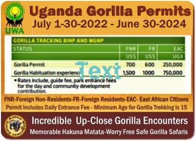 Discounted Gorilla-Chimpanzee Trekking for Expats in East Africa