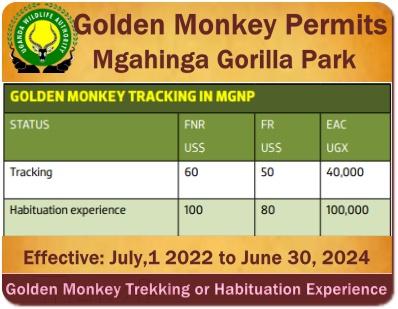 Discounted Gorilla-Chimpanzee Trekking for Expats in East Africa