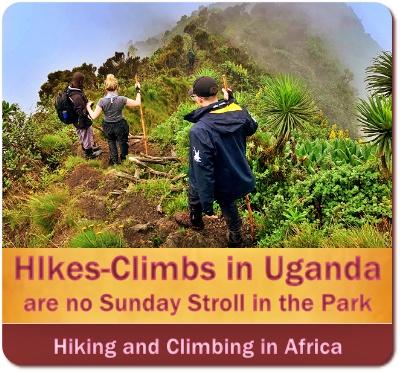 Hiking-Climbing Fitness-Am I fit enough to Hit the Trails-Climb the Peaks?