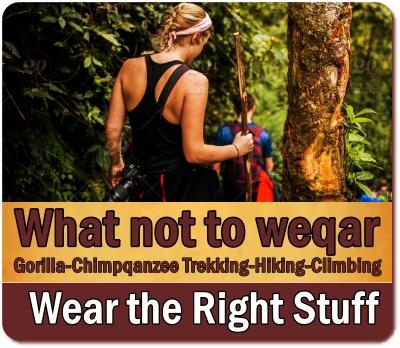 What should I wear for Gorilla Trekking? Here is your Packing list