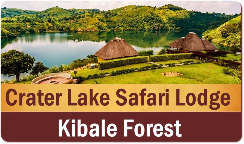 Luxury Private 10-Day Fly-In Primate-Wildlife Safari in Uganda