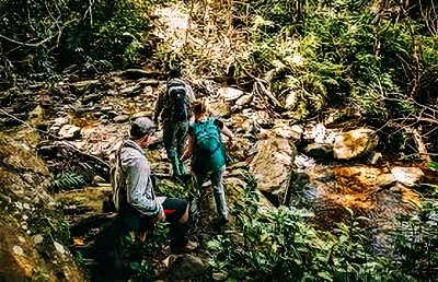 Explore Maramagambo Forest - Queen Elizabeth Park in Uganda