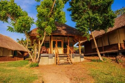 Visit to Ngamba island- Chimpanzee Sanctuary - Lake Victoria