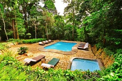 Mabira Rainforest Lodge - Peace -Tranquility in Mabira Forest