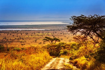 Scenic Drive to or from Murchison Falls Park along Lake Albert