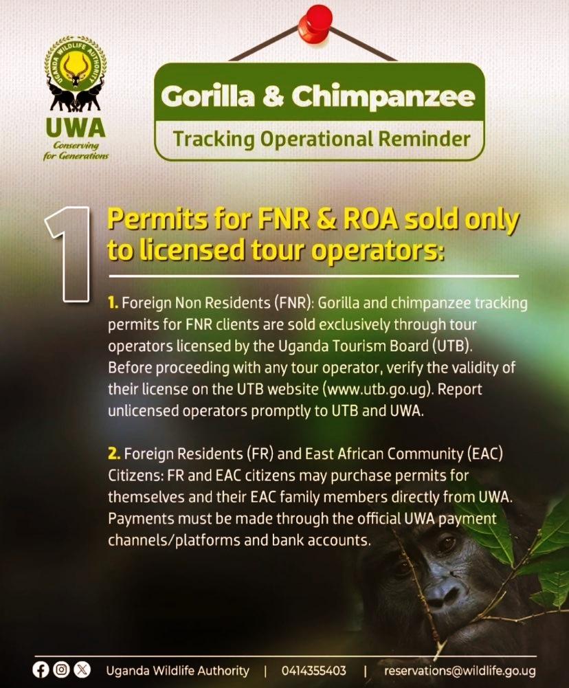 Guide to a Gorilla Habituation Experience Safari in Uganda