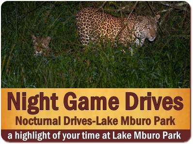 3-Day Luxury Family-Kid-Friendly Wildlife Safari - Lake Mburo Park