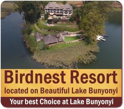 Birdnest Resort on scenic Lake Bunyonyi 