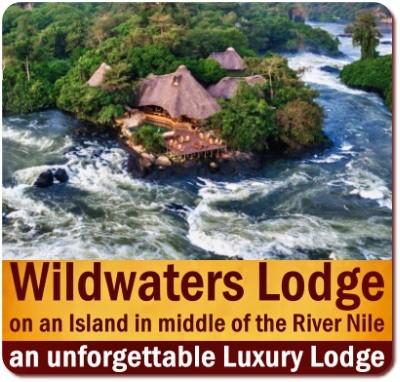 Best Romantic Lodges to stay at in Uganda the Pearl of Africa