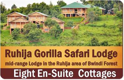 Ruhija Gorilla Safari Lodge - Ruhija - Bwindi Impenetrable Forest