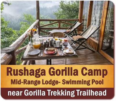 Rushaga Gorilla Camp - Bwindi Impenetrable Forest 