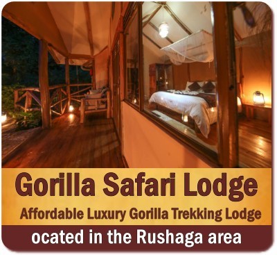 Lodging Choices while Gorilla Trekking in Rushaga-Nkuringo in Bwindi Forest