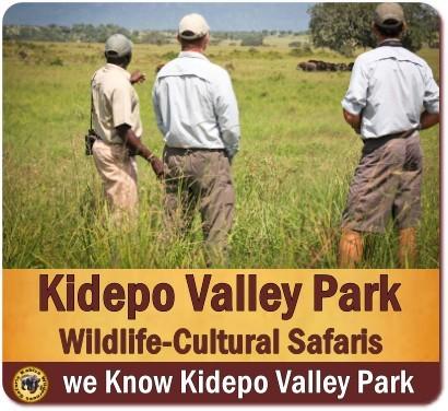 The Best Kidepo Valley Park Wildlife Safaris - Uganda